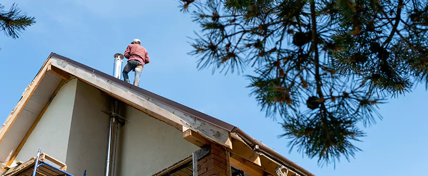 Birds Removal Contractors from Chimney in El Segundo, CA